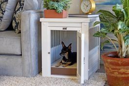 Hundebox De-Luxe , sehr edel, Innenbox, EH404S