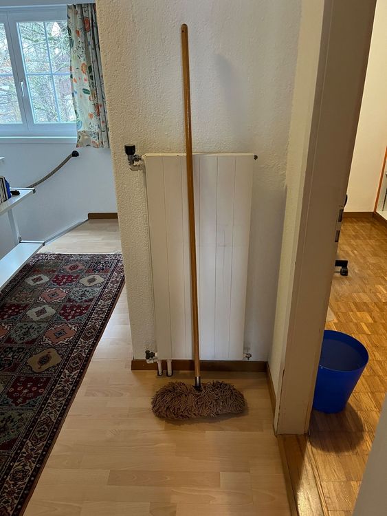 Flaumer / Staubwischer (Gebraucht) in Würenlos für CHF 2 – nur Abholung ...