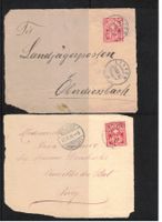 1884 Eidg. Kreuz Briefausschnitte