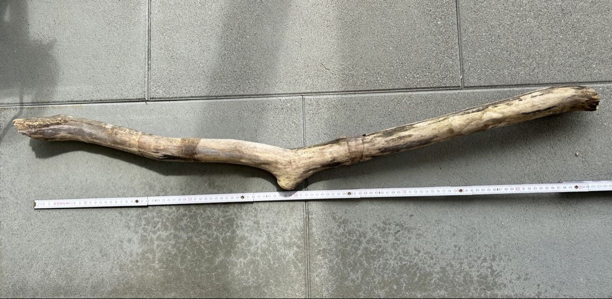 Articoli in legno: Schwemmholz Ast 104 cm lang  – Nuovo (secondo la descrizione) da St. Urban venduto da uschi73