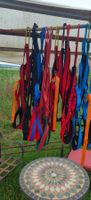 Geschirr für Hundesport