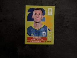 Panini Sticker BIH 16,  Bosnien WM 2026