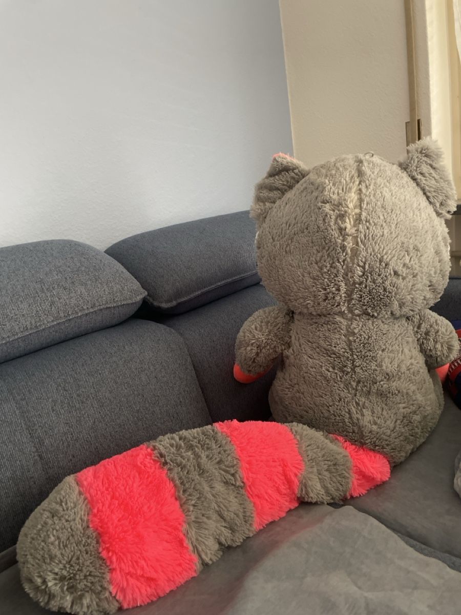 Spielzeuge: Stofftier Waschbär  – Gebraucht aus Winterthur von K2538 1