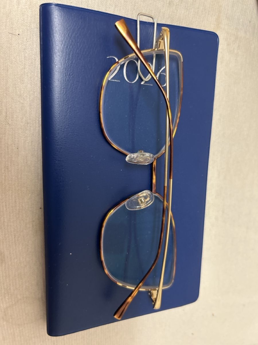 Occhiali & Lenti: brille – Usato da Zürich venduto da 11Zitronenfalter 1