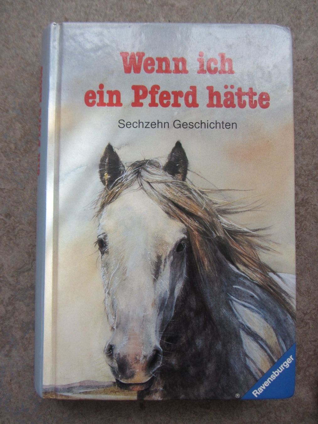 Libri: 4 Pferde Geschichten Bücher – Nuovo (secondo la descrizione) da Malters venduto da Hausi88 4