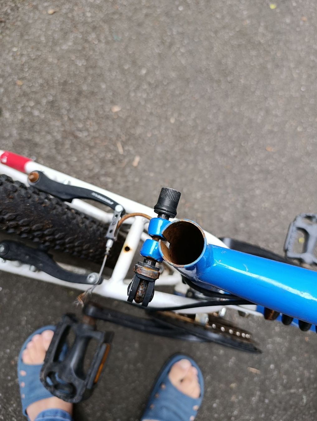 Velos: Velo – Defekt aus Zuerich von Ayda02 4