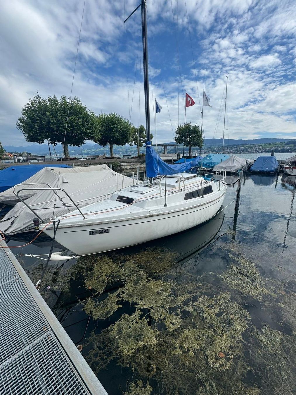 Neptun Barche: Segelboot Neptun 22 – Usato da Uetikon am See venduto da Aldo_Hug13