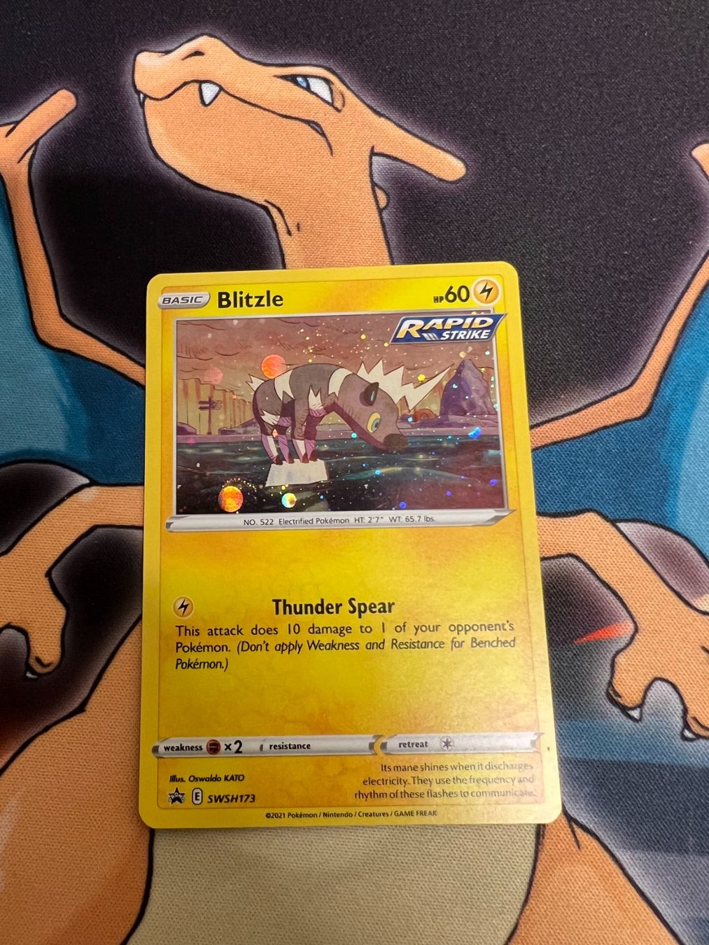 Pokémon Carte collezionabili: Blitzle (SWSH 173) - Promo – Nuovo (secondo la descrizione) da Bülach venduto da Pfrenzel