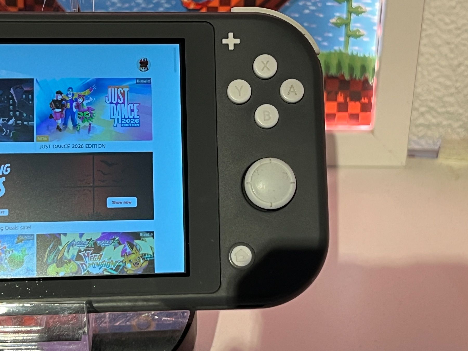 Nintendo Console: Switch Lite - Wie Neu – Usato da Zürich venduto da rg_swiss 3