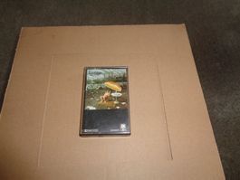 Supertramp. Crisis ? What Crisis. MC - 1979 - Rock!