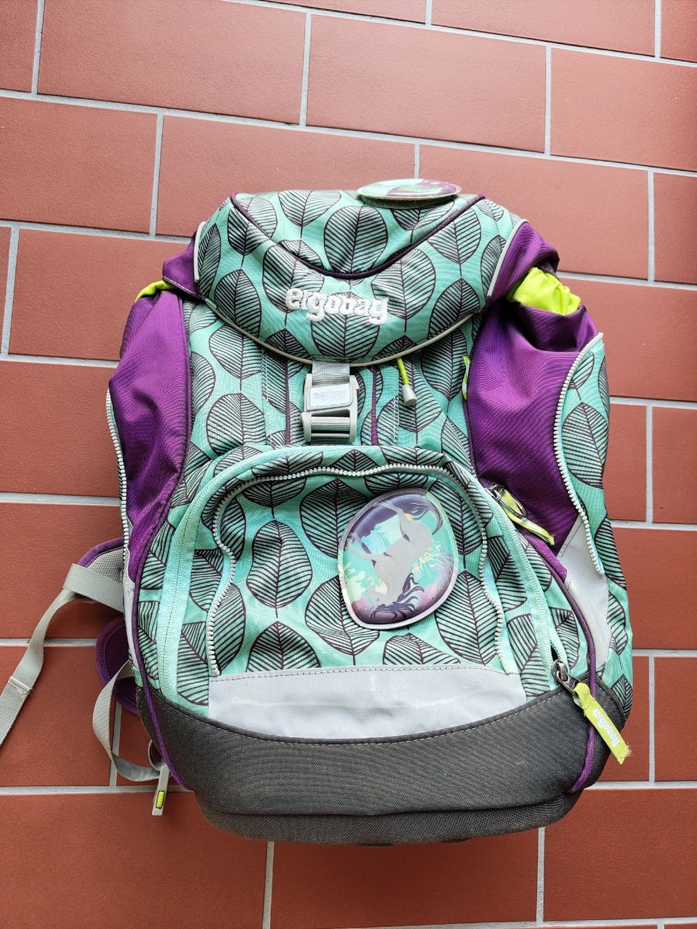 Ergobag Kindertaschen: Ergobag Set - Thek und Turnbeutel – Gebraucht aus Zürich von Shainne 2