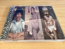 Everclear – Sparkle And Fade