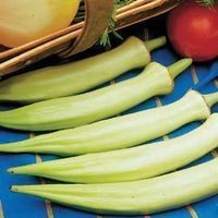 Okra Gombo Silver Queen 50g