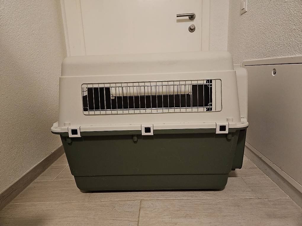 Gabbie, trasporto & Sicurezza: Transportbox Feria (Hundebox) – Usato da Neunkirch venduto da shortina 1