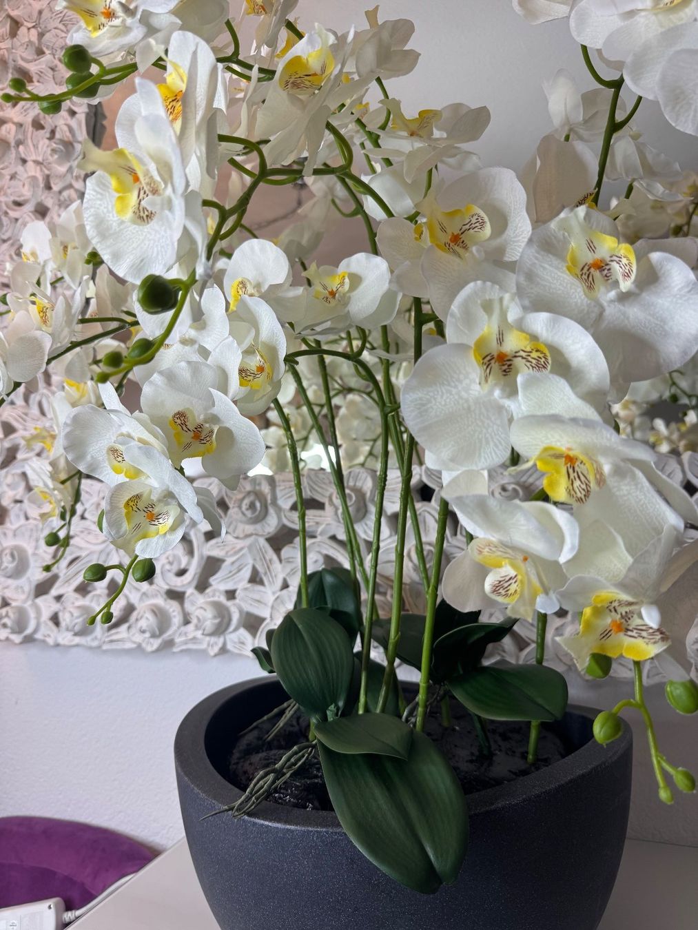 Tutte le decorazioni: Künstliche Orchideen mit Vase New – Nuovo (secondo la descrizione) da Zürich venduto da Privat4444 6