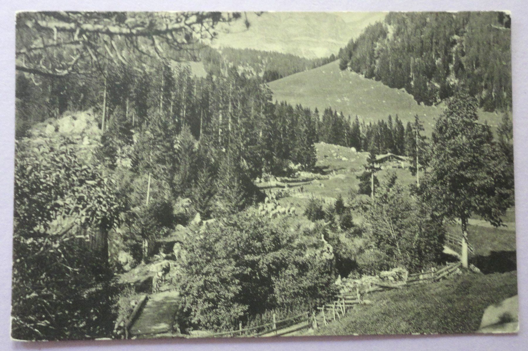 Cartoline postali: Siernes Picats - La Planche – Usato da Fétigny venduto da Billy2miny