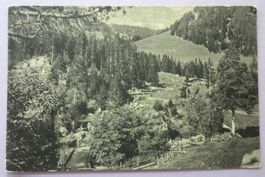Siernes Picats - La Planche