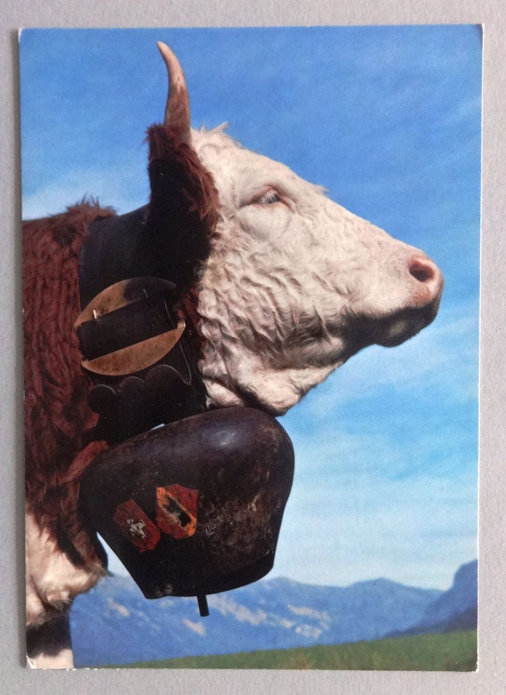 Cartoline postali: Vache à la montagne – Usato da Fétigny venduto da Billy2miny