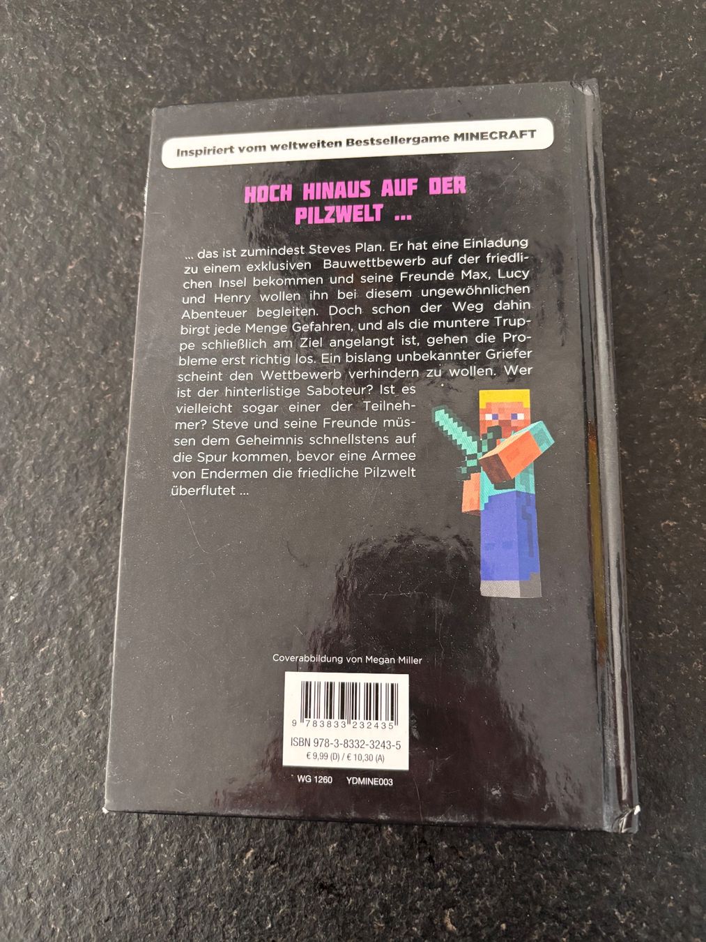 Libri: Minecraft Buch "Endermen-Invasion" - Top Zustand! – Usato da St. Niklaus VS venduto da Wallis4ever 1