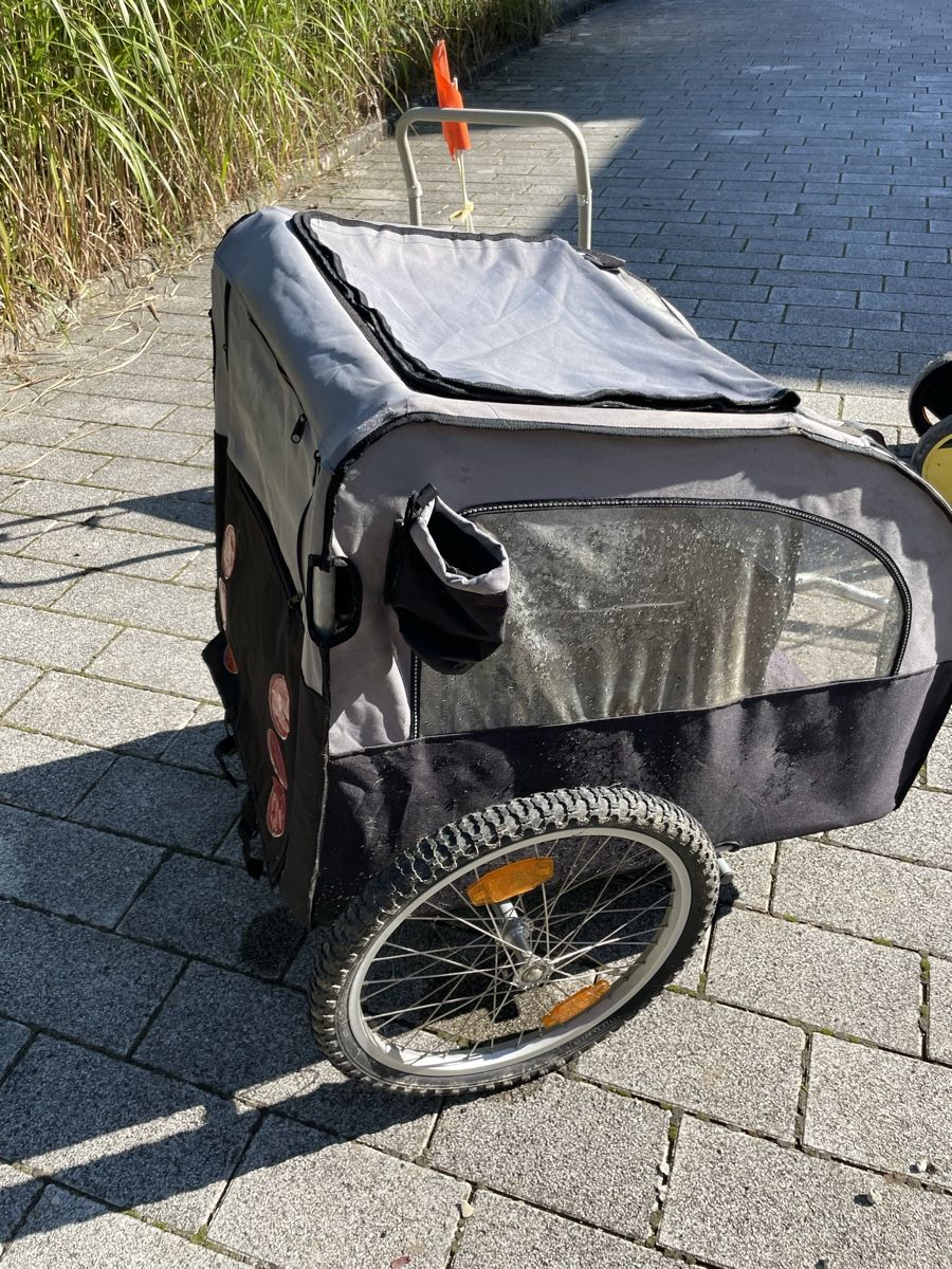wheelworx kinderfahrrad whizzy JuniorCruiser 16 Zoll I Ocean I Stilvolles Fahrrad für Kinder ab 3,5 Jahren I Höhenverstellbares Mädchen- & Jungen-Fahrrad I 6,5 kg leichtes Mountainbike mit ergonomischem Sattel Sport & Freizeit product-type:Ribbontail Jigs Weste:S Eorzea Database: Abyssos Armguards