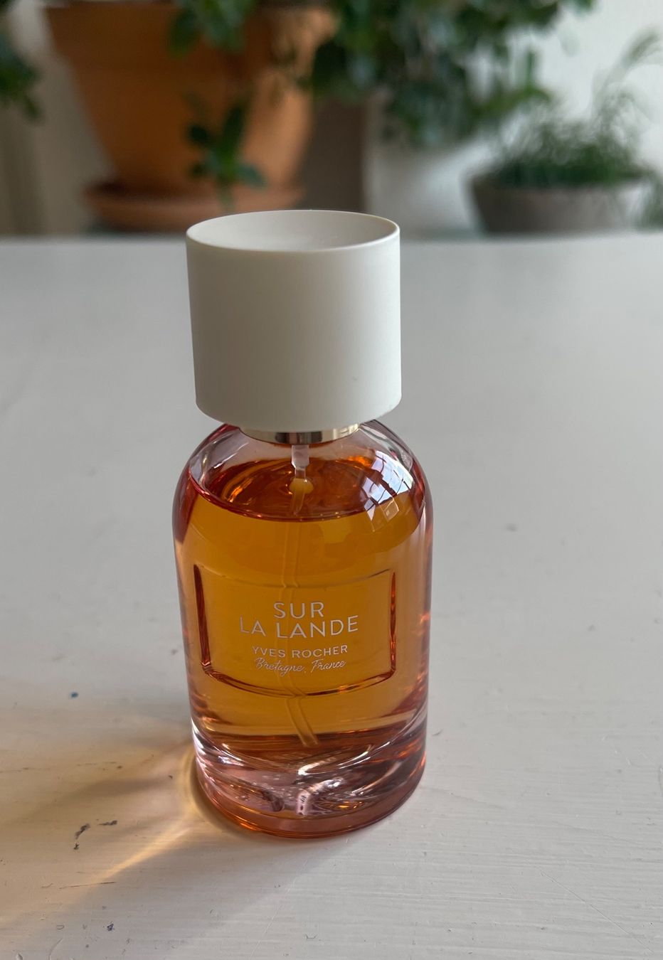 Yves Rocher Profumi & Eau de Toilette: Yves Rocher Sur La Lande Parfum - 30ml – Usato da Pfäffikon ZH venduto da Oncidium01