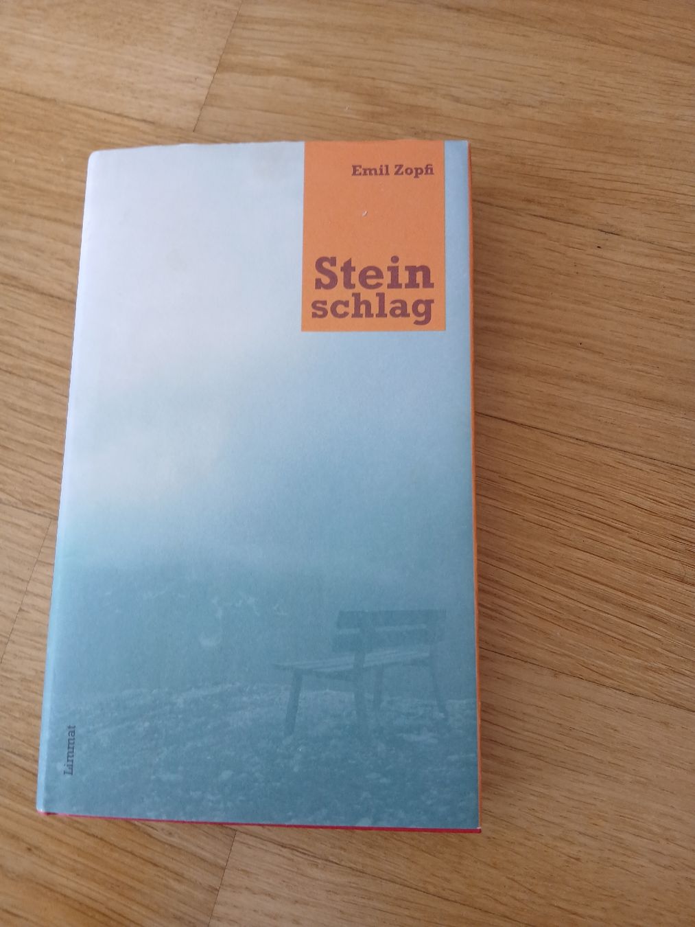 Libri: "Steinschlag" Emil Zopfi – Usato da Bazenheid venduto da vogeljr