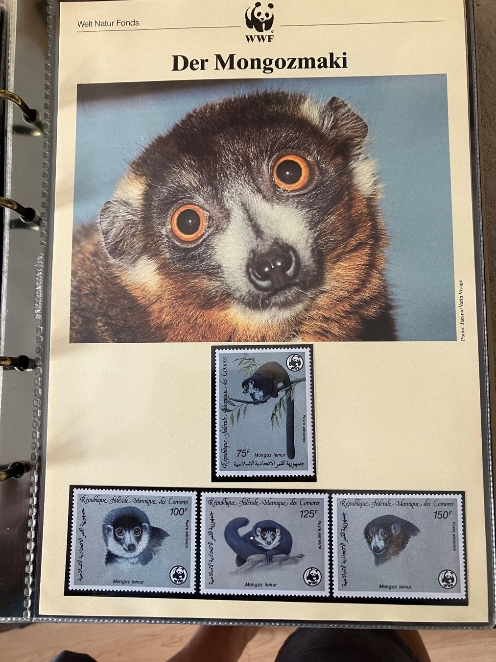 Alle Briefmarken: 6 Ordner WWF Briefmarken – Gebraucht aus Baar von Ramona10 4
