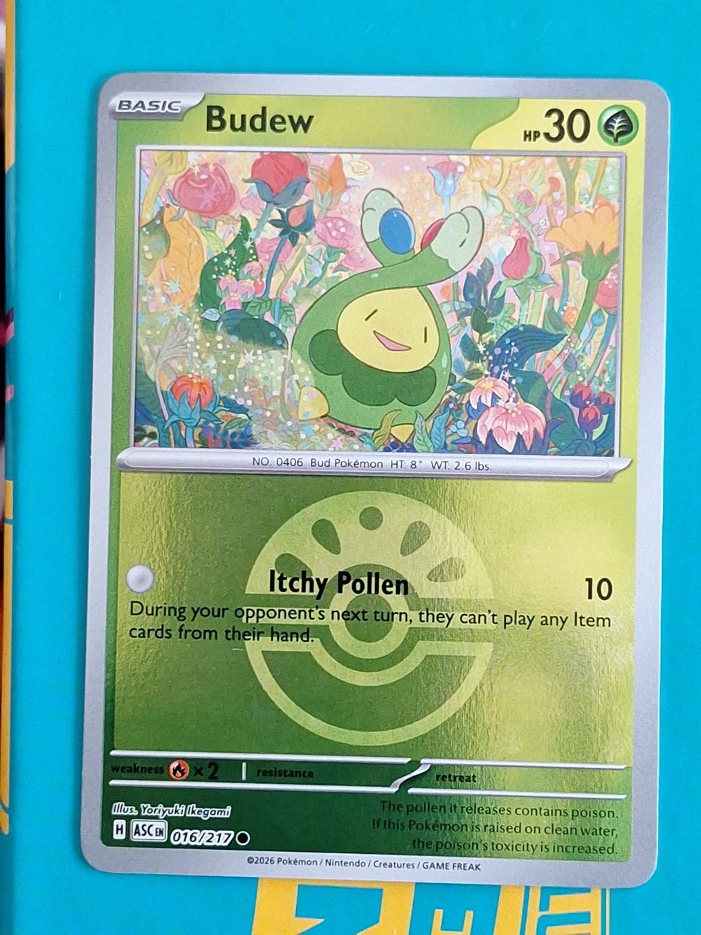 Pokémon Sammelbilder & Trading cards: Budew - Reverse Holo Ball - Pokemon Ascended Heroes – Gebraucht aus Altstätten SG von GGsGameshop