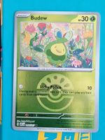 Budew - Reverse Holo Ball - Pokemon Ascended Heroes