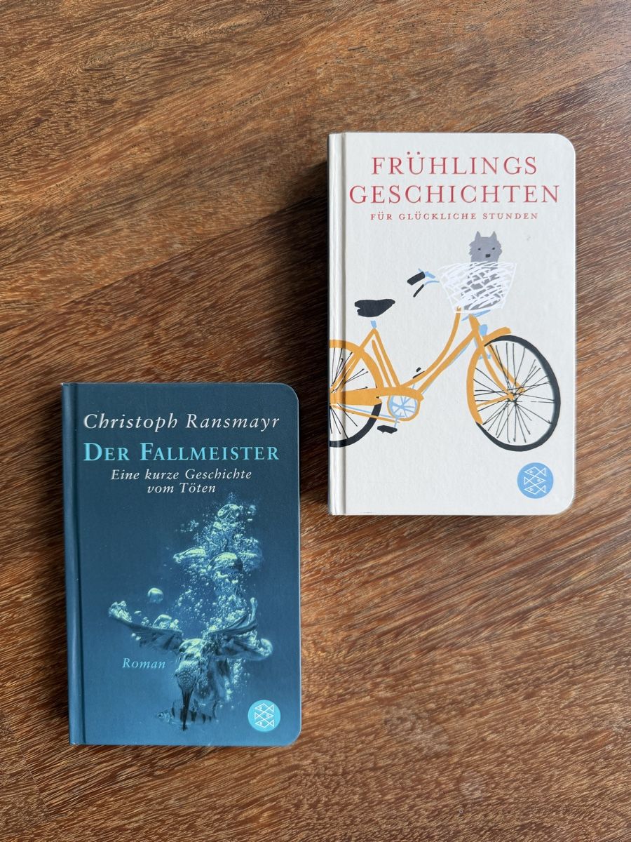 Libri: 2 Fischer TaschenBibliothek  – Usato da Ennetbaden venduto da miboo