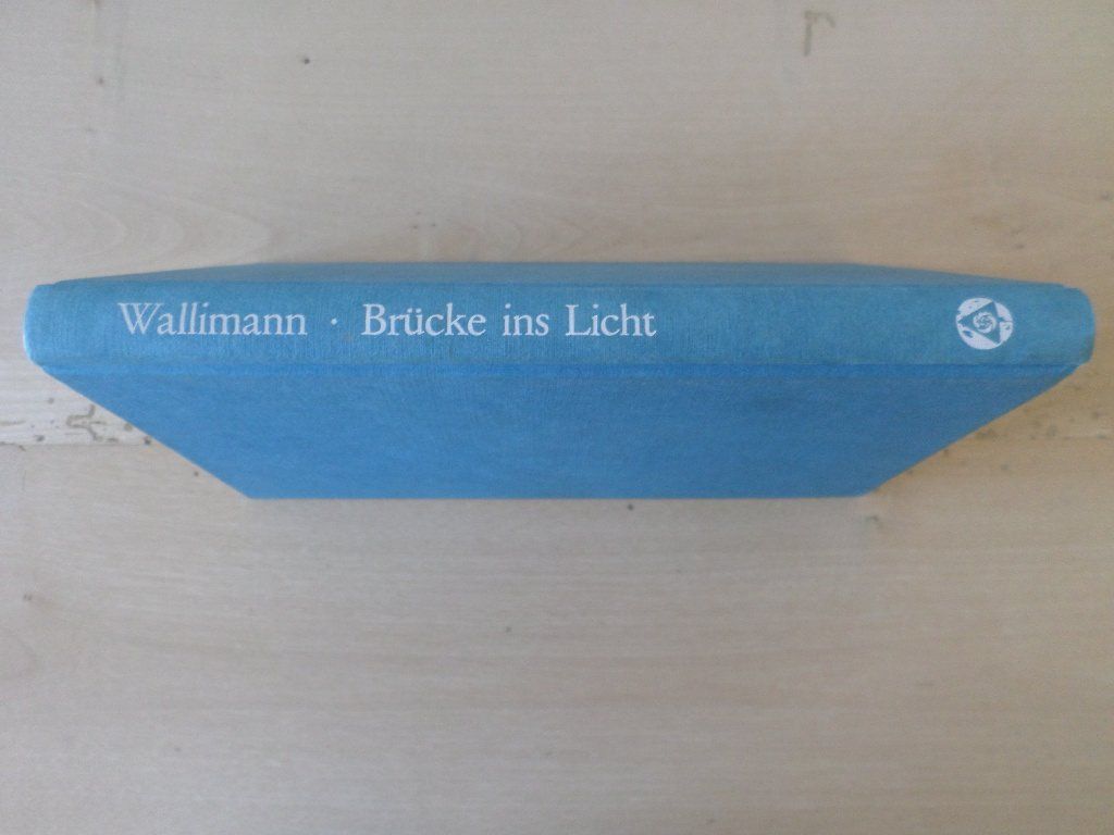 Libri: Brücke ins Licht / Silvia Wallimann – Usato da Liestal venduto da man_7bt6