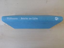 Brücke ins Licht / Silvia Wallimann