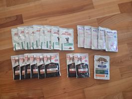 Diverses Katzen Futter Diabetes