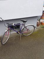 Altes Bahnhofsvelo Cresta