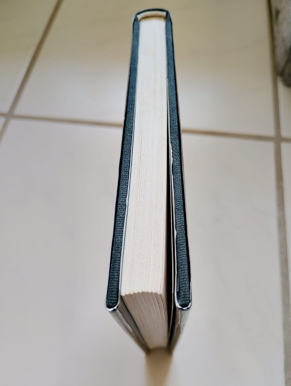 Libri: Die drei ??? und der verschwundene Schatz – Usato da Ehrendingen venduto da 2Guagua2 5