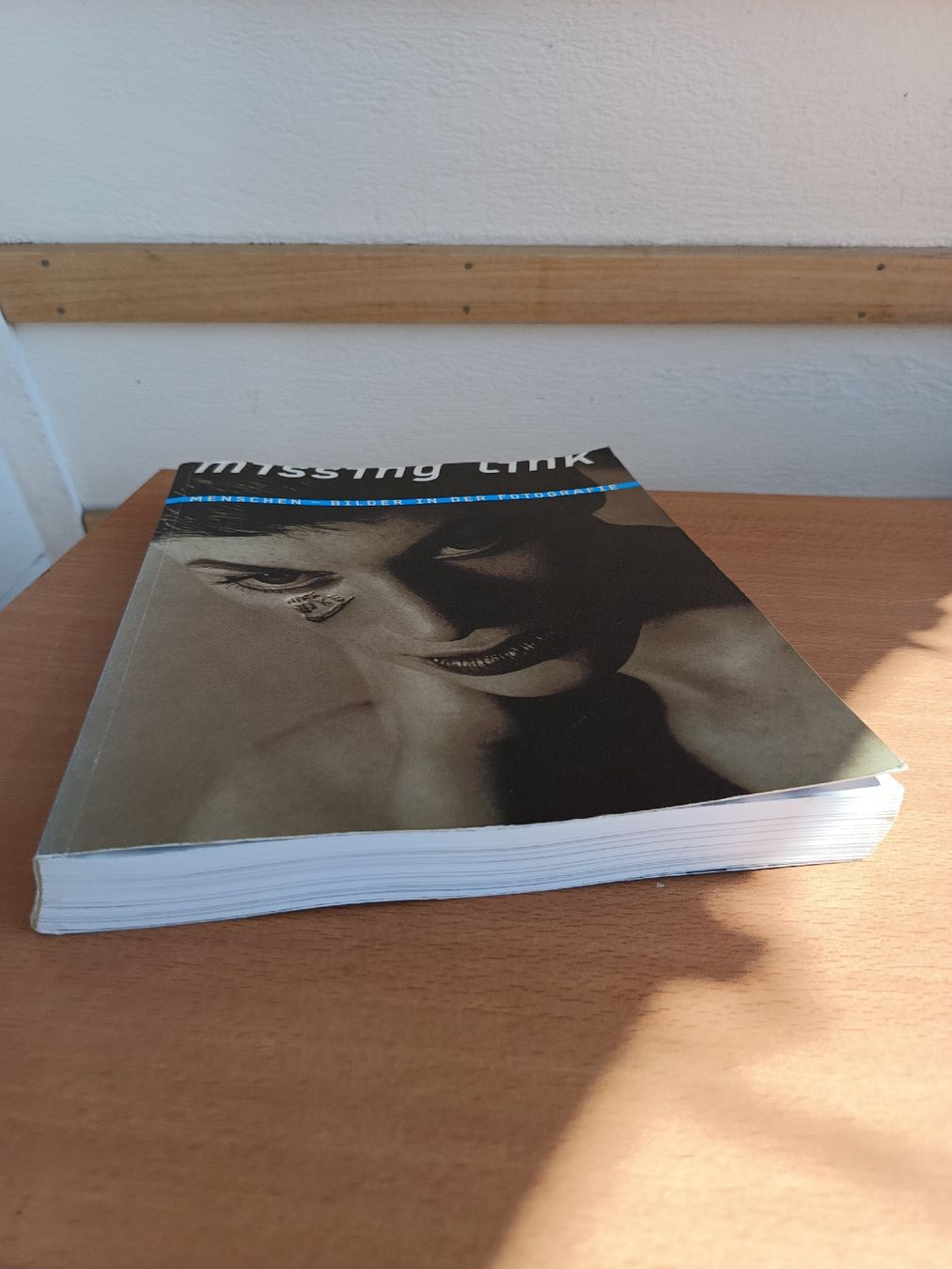 Livres: The Missing Link Fotoband Kunstmuseum Bern – D'occasion à Steffisburg par zulg03 1