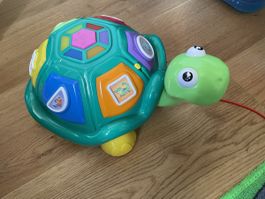 Lernspass Musik Schildkröte