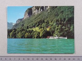 Rütli, Vierwaldstättersee, Schiff