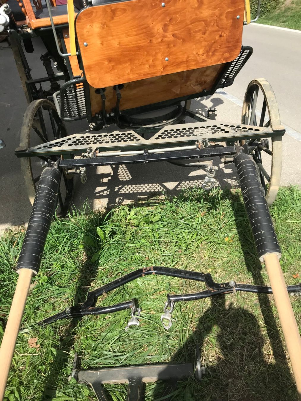 Carrozze: Pferdekutsche Wagonette – Usato da Niederhasli venduto da Fribi_bea 5
