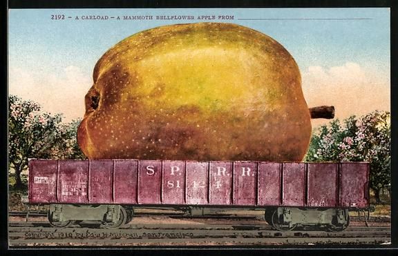 Cartoline postali: Optische Täuschung mit gigantischem Apf – Usato da Berlin venduto da bartko-reher