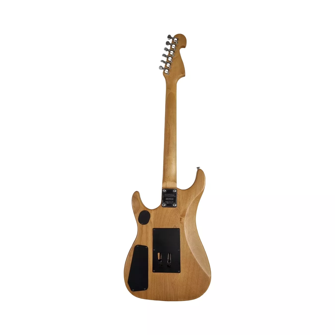Washburn Strumenti musicali: WASHBURN E-Gitarre mit Tasche – Usato da Wangen b. Olten venduto da Restwert_Wangen 2