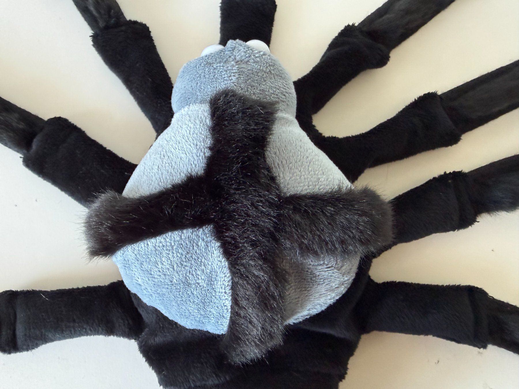 Giocattoli: Beleduc Handpuppe Spinne – Usato da Winterthur venduto da brittalili 5