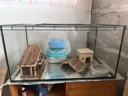 Terrarium inkl Zubehör 