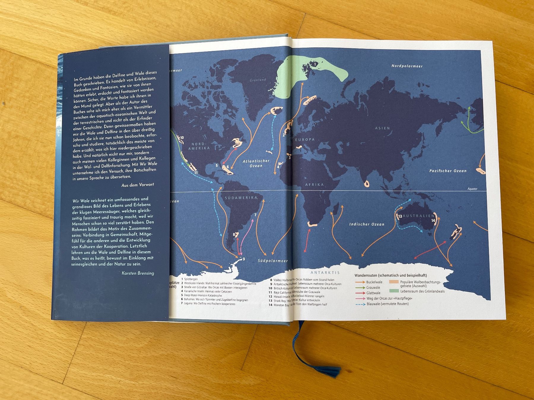 Libri: Wir Wale – Usato da Zürich venduto da Tolou15 2