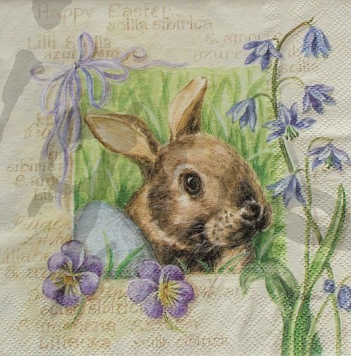 Tovaglioli: Serviette hase (rar) – Nuovo (secondo la descrizione) da Schlatt TG venduto da kreativ-atelier