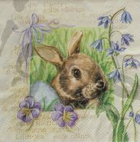 Serviette hase (rar)