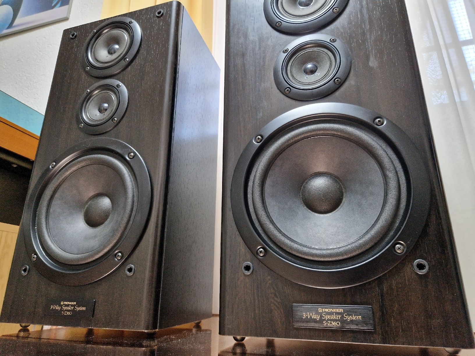 Pioneer Casse acustiche: Pioneer S-Z360 – Usato da Arbon venduto da Mayak_Sound 4