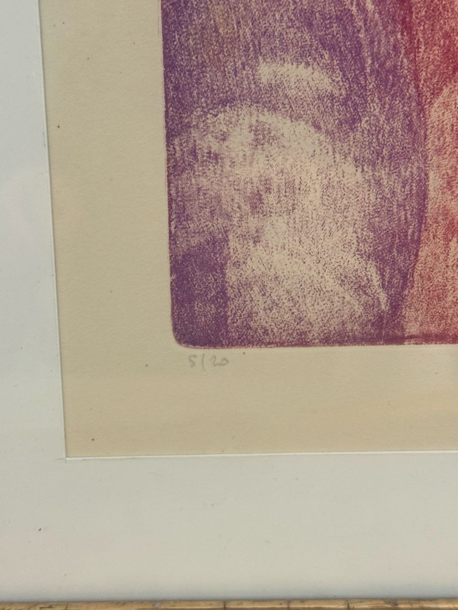 Grafica & Litografie: Original Signiert Lithographie 5/20 – Usato da Solothurn venduto da NUVICO 5