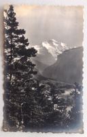 Interlaken, Die Jungfrau vom Rugen