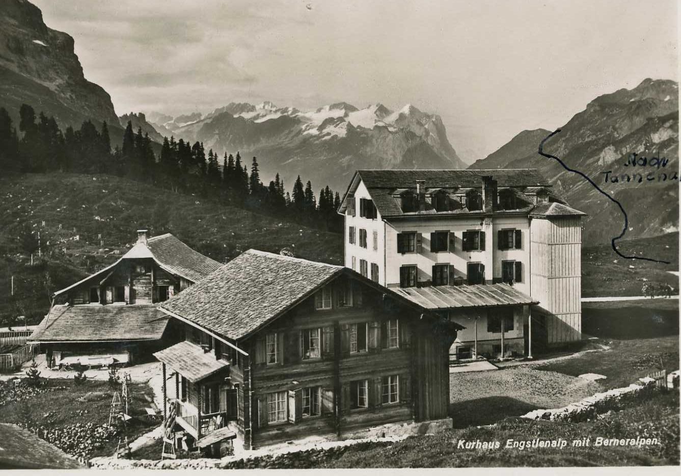 Cartoline postali: Engstlenalp Kurhaus Melchsee-Frutt – Usato da Dallenwil venduto da montem63